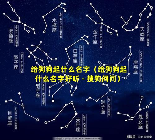 给狗狗起什么名字（给狗狗起什么名字好听 - 搜狗问问）